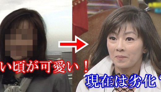 永井美奈子の若い頃が可愛いと話題！今現在は劣化した？比較画像！