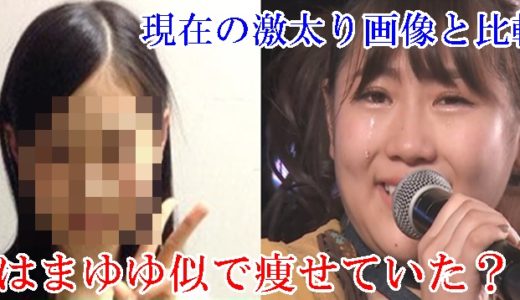 西野未姫の昔はまゆゆ似で痩せていた？現在の激太り画像と比較！